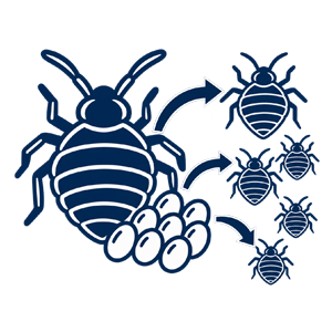 Pest Control Bexley