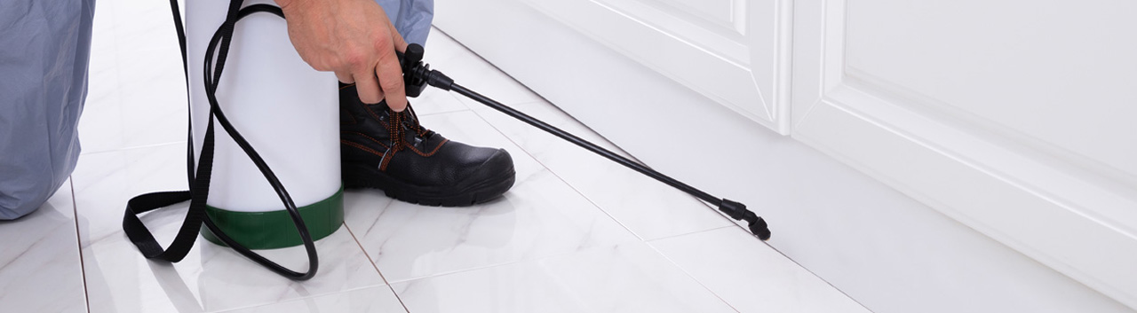 Contact Pest Control Bexley